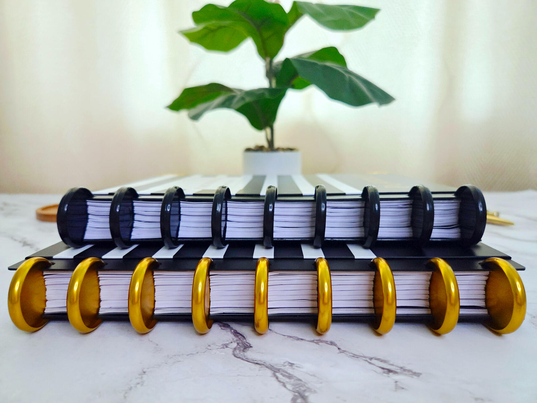 A gold and a black disc bound black and white planners with a green plant in the background.